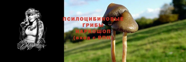 каннабис Арсеньев